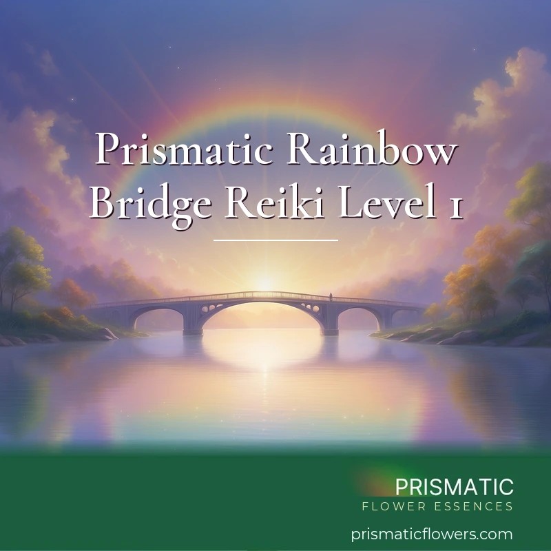 Prismatic Rainbow Bridge Reiki Level 1 - Prismatic Flower Essences