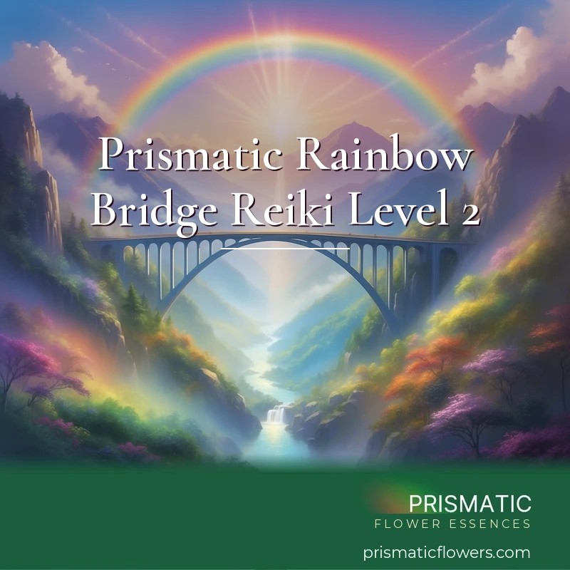 Prismatic Rainbow Bridge Reiki Level 2 - Prismatic Flower Essences