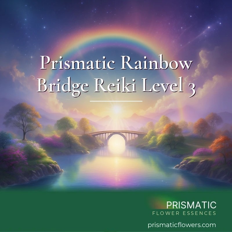 Prismatic Rainbow Bridge Reiki Level 3 - Prismatic Flower Essences