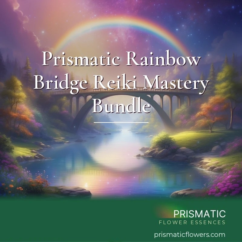 Prismatic Rainbow Bridge Reiki Mastery Bundle - Prismatic Flower Essences