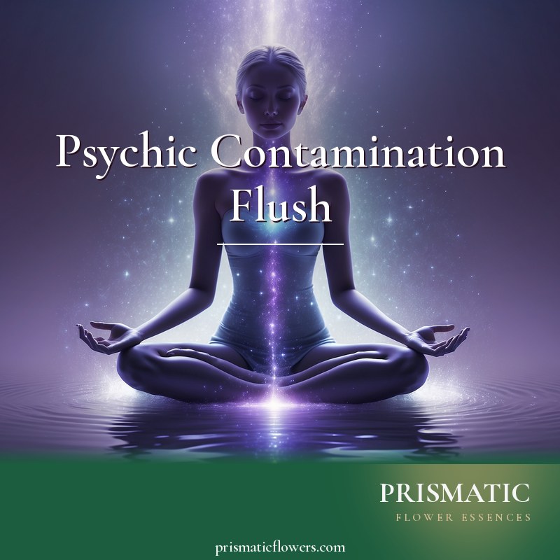 Psychic Contamination Flush distance Reiki attunement, Energetic clearing of psychic contamination from the aura, chakras and meridians by Prismatic Flower Essences