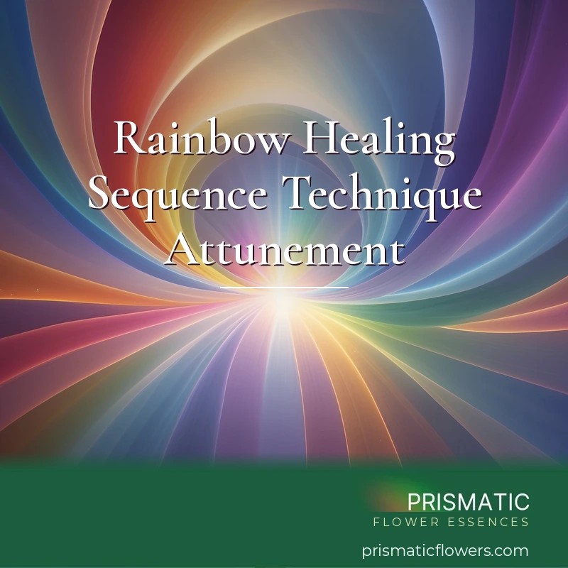 Rainbow Healing Sequence Technique Attunement - Prismatic Flower Essences