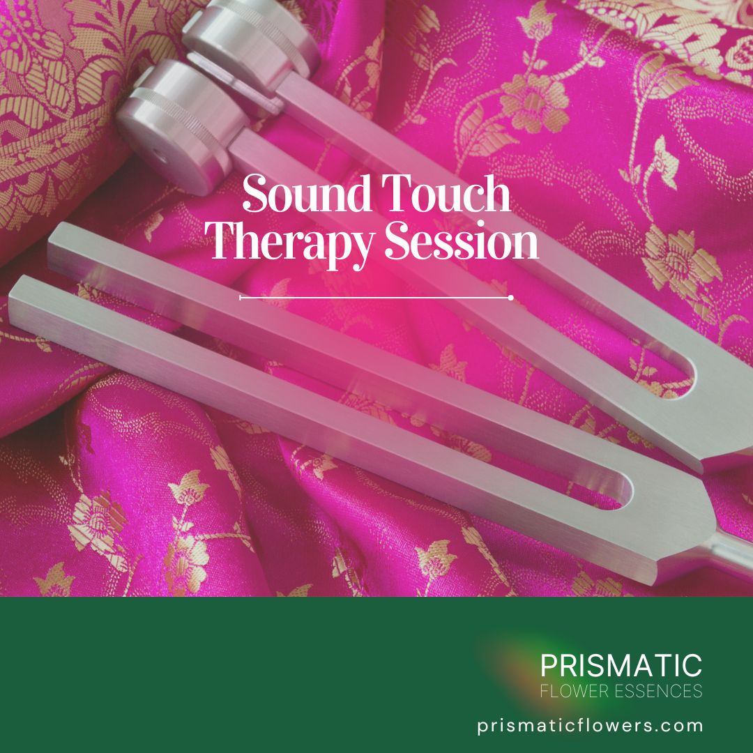 Sound Touch Therapy Session - Prismatic Flower Essences