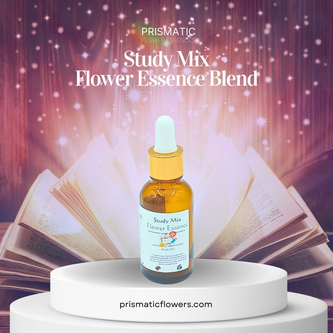 Study Mix Flower Essence Blend - Prismatic Flower Essences