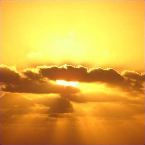 The Gold Ray Of Raphael - Prismatic Flower Essences
