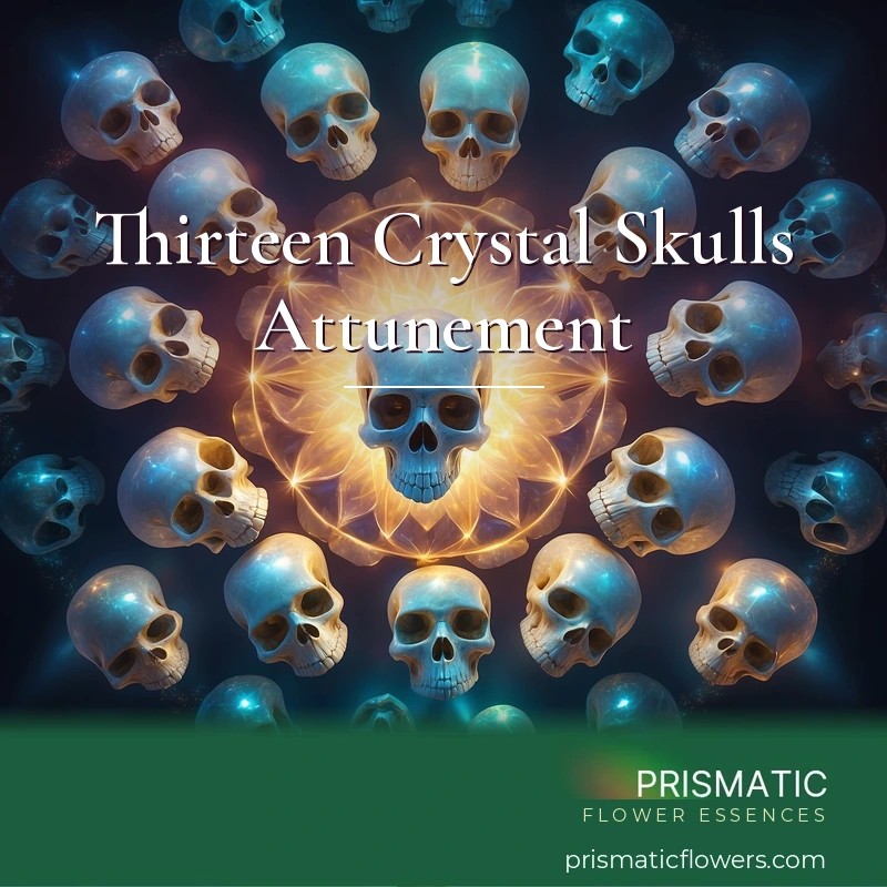 Thirteen Crystal Skulls Attunement - Prismatic Flower Essences