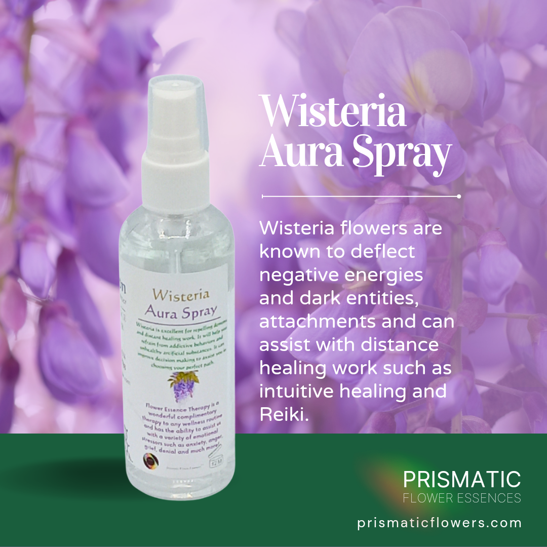 Wisteria Aura Spray - Prismatic Flower Essences