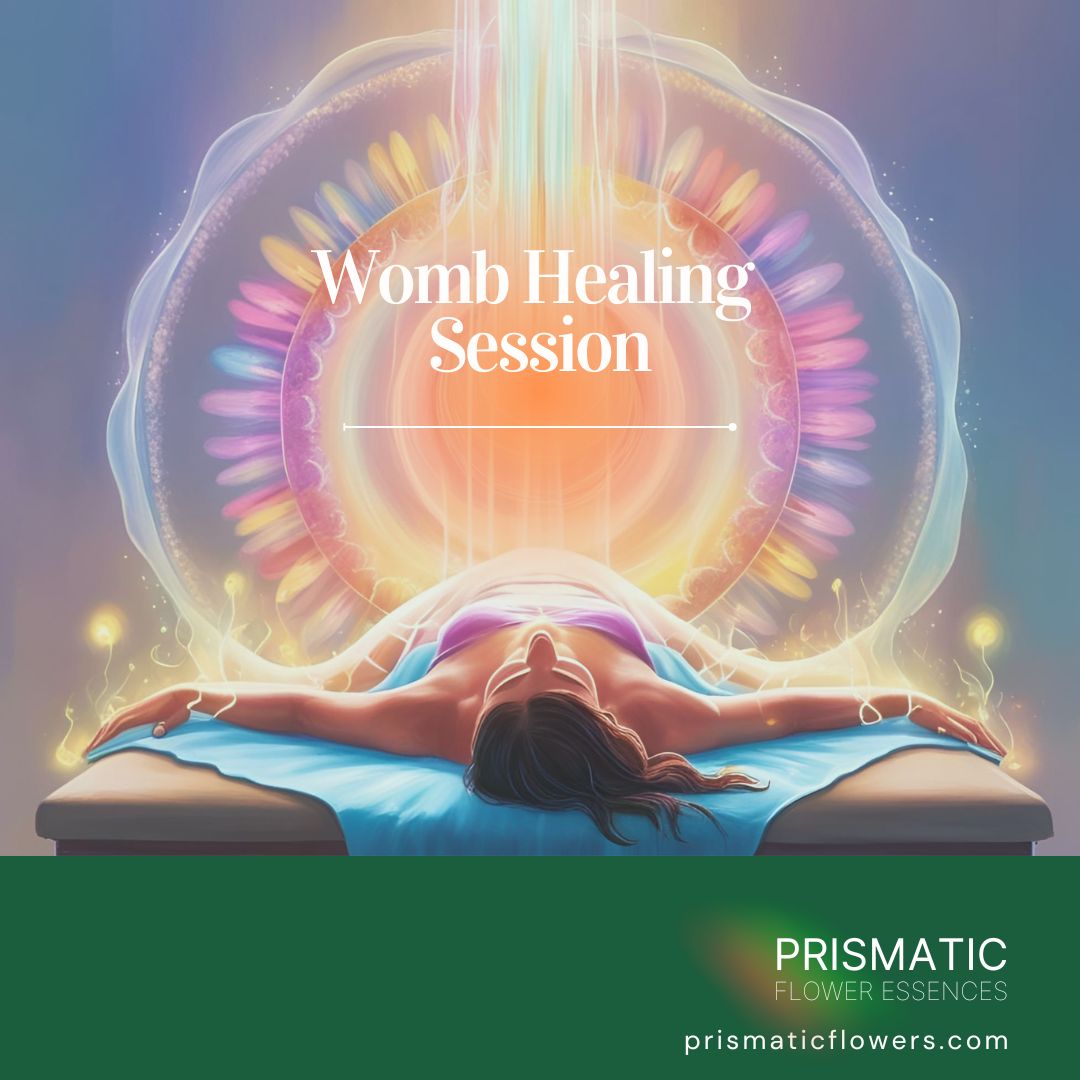 Womb Healing Session - Prismatic Flower Essences
